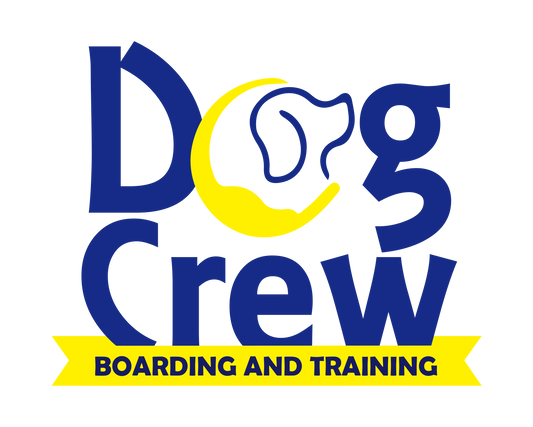 Dog Crew - SEO - Google Ads - Meta Ads - Web